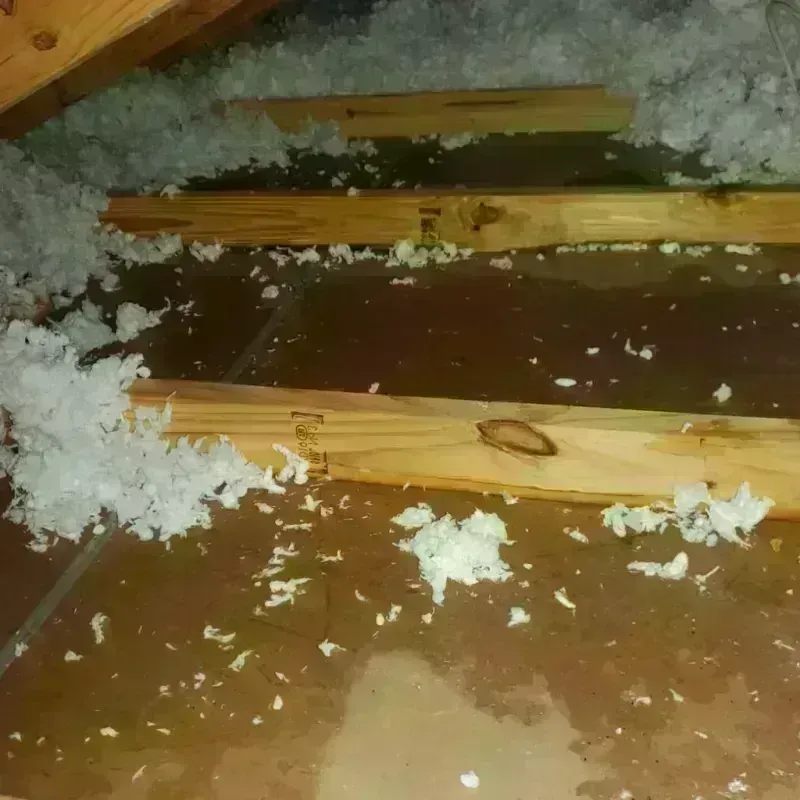 Attic Water Damage in Lecompte, LA